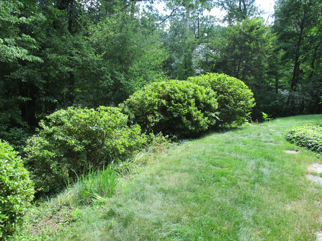 Cullins Service Landscape Trimming, Cutting and Shaping Bushes Wellesley Property