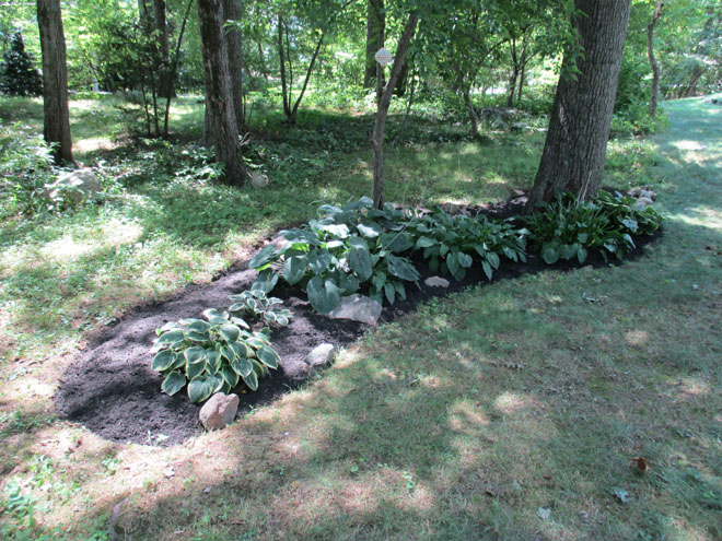 Cullins Service Landscape Weeding, Clearing, Edging and Mulching Wellesley Property pt 2