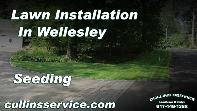 Lawn Installation seeding lawn care in Wellesley, Ma Cullins Service