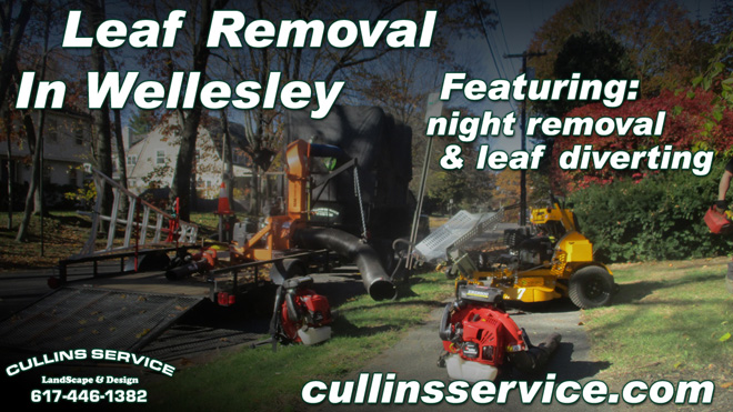 Leaf Removal Service Fall Cleanup Wellesley, Ma Cullins Service