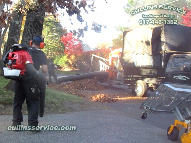 Cullins Service leaf removal has a scag giant vac to make the leaf removal process quick